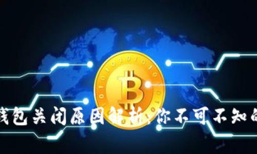 数字藏品钱包关闭原因解析：你不可不知的背后故事