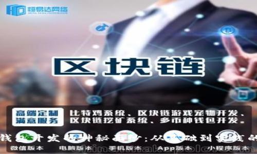 揭开区块链钱包开发的神秘面纱：从基础到实践的全方位指南