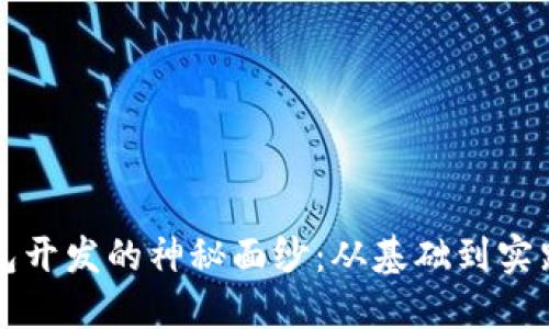 揭开区块链钱包开发的神秘面纱：从基础到实践的全方位指南