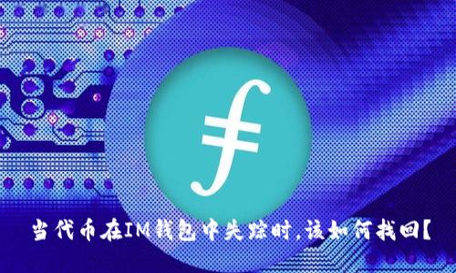 当代币在IM钱包中失踪时，该如何找回？