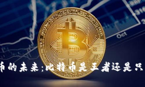 探索数字货币的未来：比特币是王者还是只是一颗流星？
