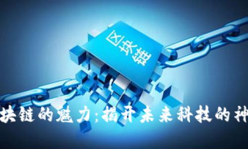 探寻区块链的魅力：揭开未来科技的神秘面纱