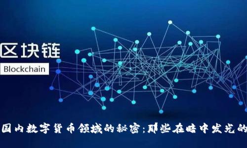 揭开国内数字货币领域的秘密：那些在暗中发光的企业