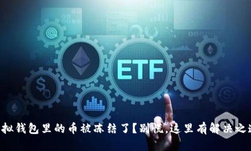 虚拟钱包里的币被冻结了？别慌，这里有解决之道！