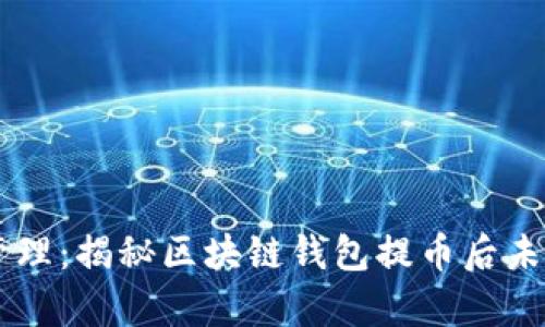 简化你的财富管理：揭秘区块链钱包提币后未清零的背后真相