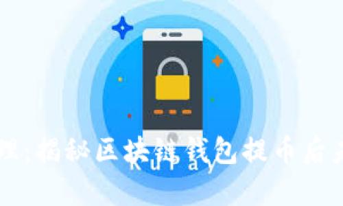 简化你的财富管理：揭秘区块链钱包提币后未清零的背后真相
