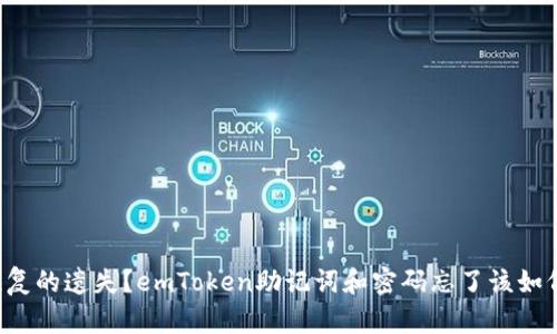 不可恢复的遗失？emToken助记词和密码忘了该如何应对？