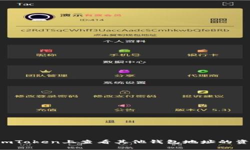 如何在ImToken上查看其他钱包地址的资产情况？