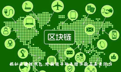 揭秘区块链钱包：跨国转币的无缝体验与未来潜力