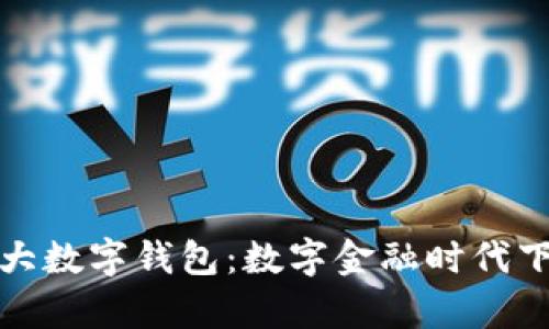 解密全球最大数字钱包：数字金融时代下的奇迹之旅