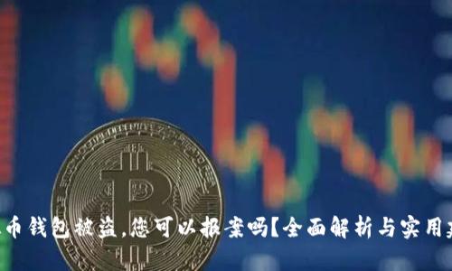 虚拟币钱包被盗，您可以报案吗？全面解析与实用建议！