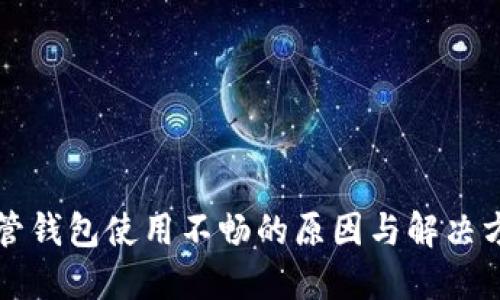 虚拟币托管钱包使用不畅的原因与解决方案大揭秘