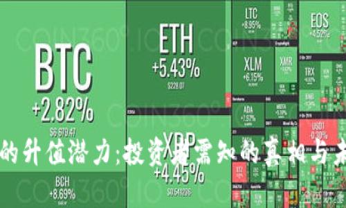 波场币的升值潜力：投资者需知的真相与未来展望