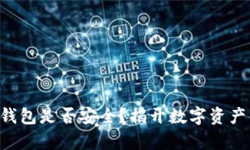 虚拟币存于钱包是否安全？揭开数字资产的保护秘密！