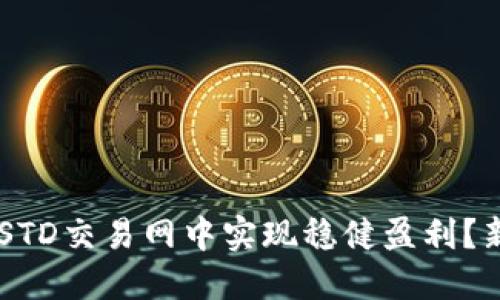 如何在USTD交易网中实现稳健盈利？新手必读！