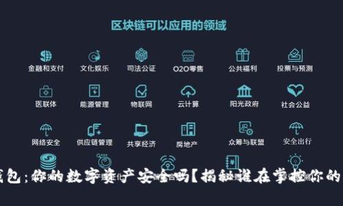 区块链钱包：你的数字资产安全吗？揭秘谁在掌控你的虚拟财富