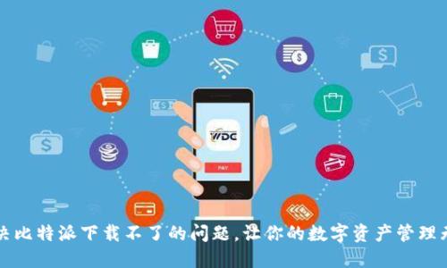 解决比特派下载不了的问题，让你的数字资产管理无忧