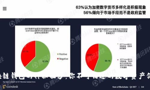 揭开区块链钱包的神秘面纱：你不可错过的数字资产保护指南！