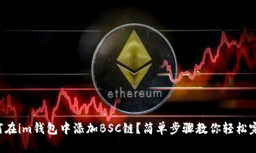 如何在im钱包中添加BSC链？简单步骤教你轻松完成！