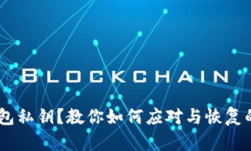 丢失IM钱包私钥？教你如何应对与恢复的实用指南