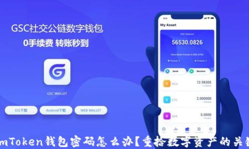 
忘记imToken钱包密码怎么办？重拾数字资产的关键方法